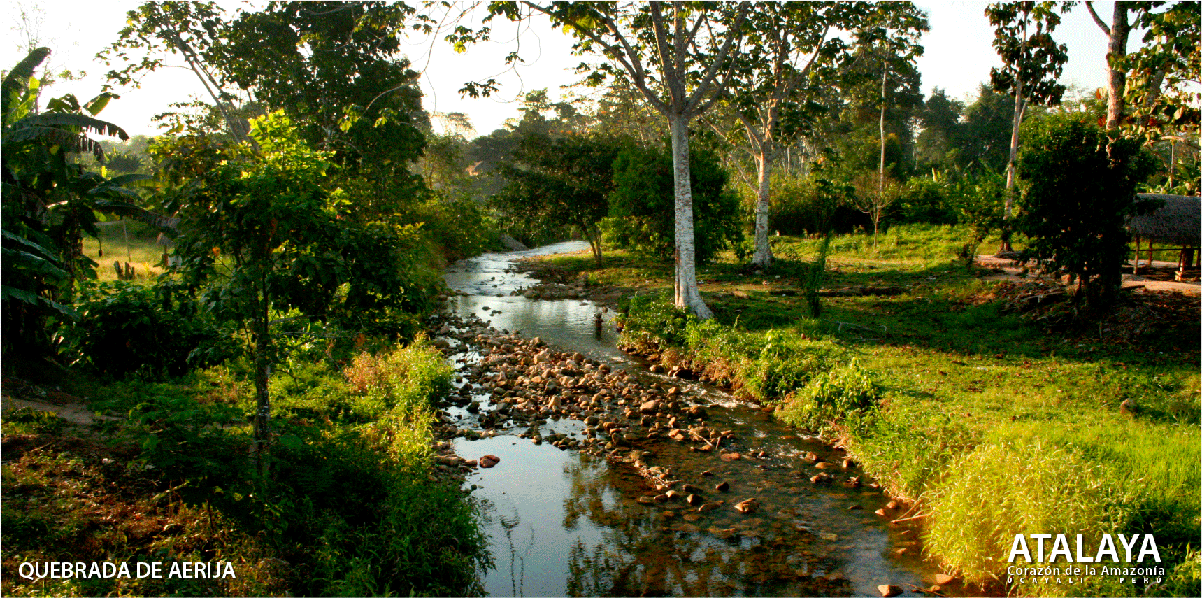 Foto-Imagenes3